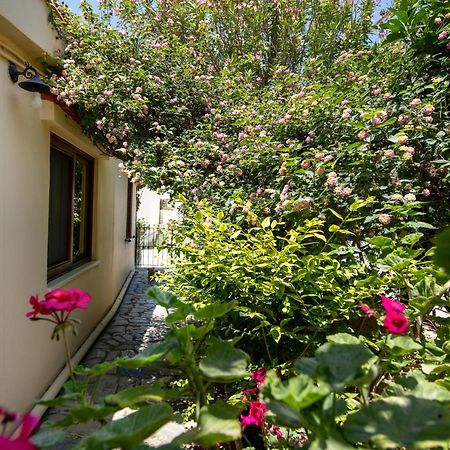 Elisavet'S House Villa Platanés Dış mekan fotoğraf
