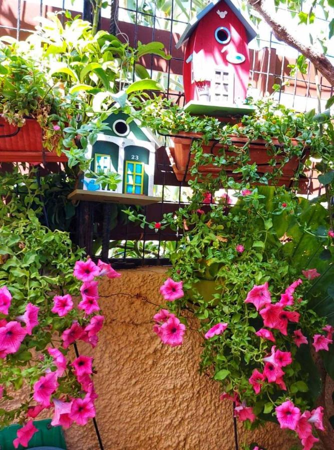 Elisavet'S House Villa Platanés Dış mekan fotoğraf